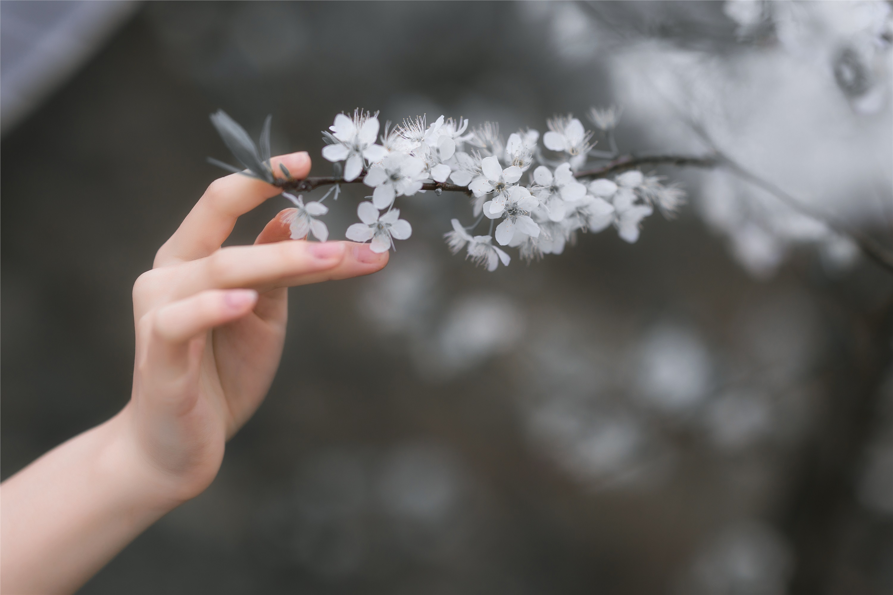 YITUYU艺图语 2021.08.28 杏花弦外雨 赵瑞洁_ez